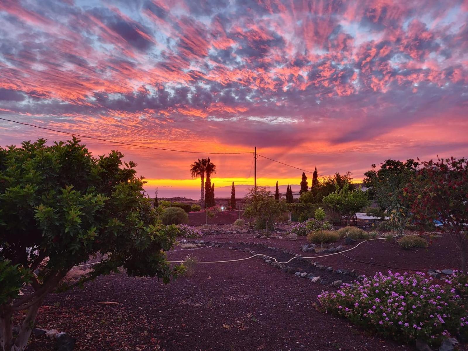 Finca Arcoiris Tenerife Vv Guía de Isora Exteriér fotografie