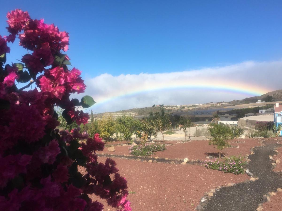 Finca Arcoiris Tenerife Vv Guía de Isora Exteriér fotografie